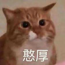 憨厚表情包图片- 求表情网,斗图从此不求人!